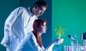 Environmental Science